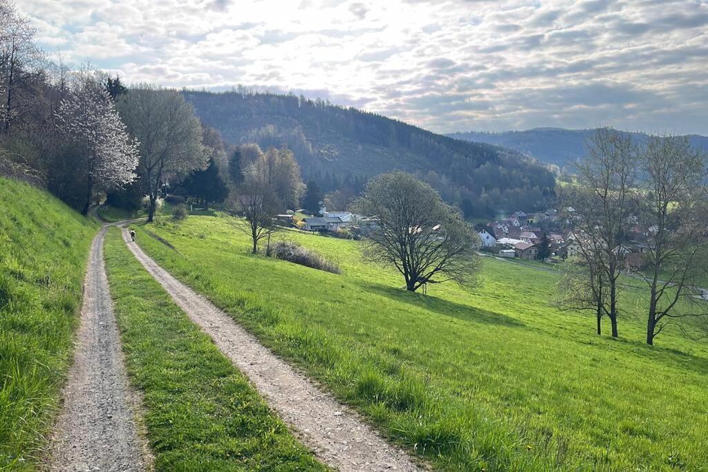 Maisonette Fuer 6P Mit Toller Aussicht Floh-Seligenthal Exterior foto
